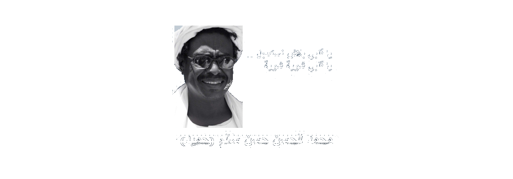 Slide 15